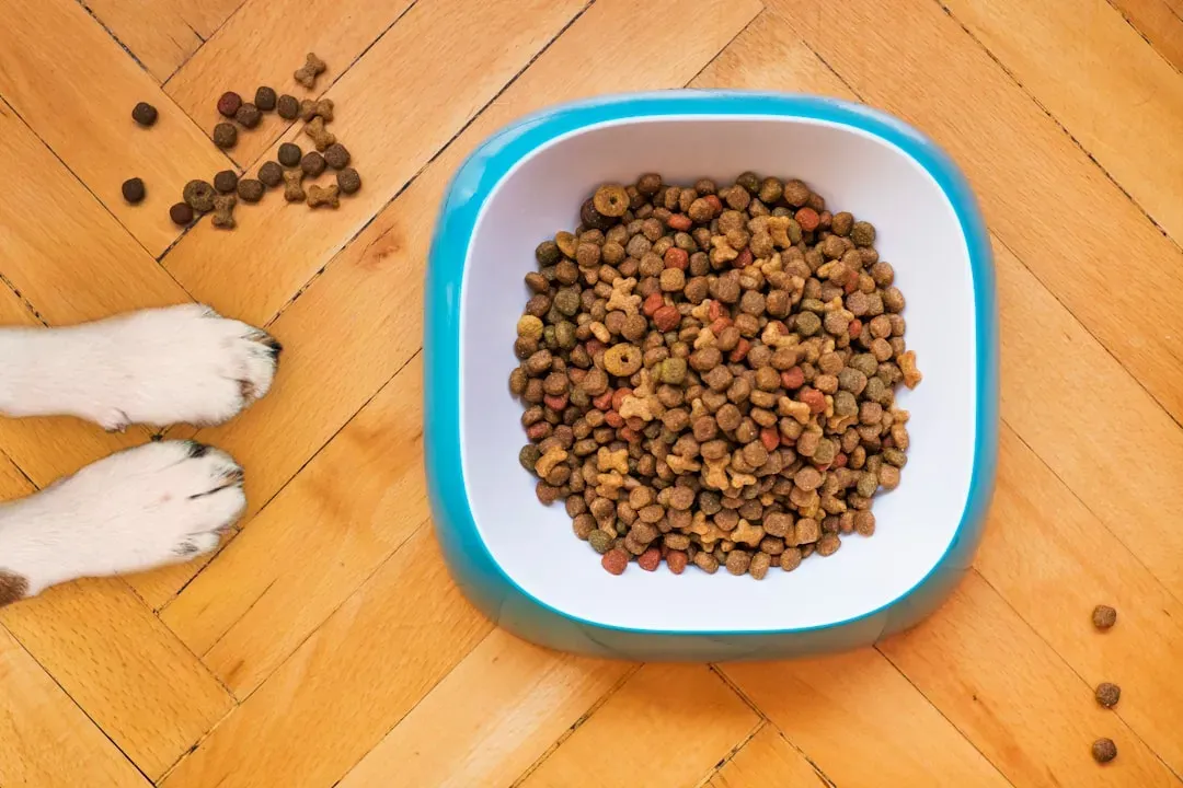 Kirkland Signature Dog Food by Diamond Pet Foods (Image Credits: Unsplash)