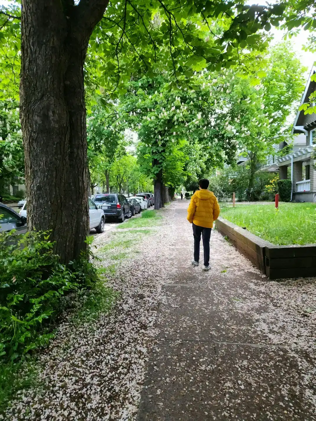Sagittarius: Commit to a Daily Walking Practice (Image Credits: Unsplash)
