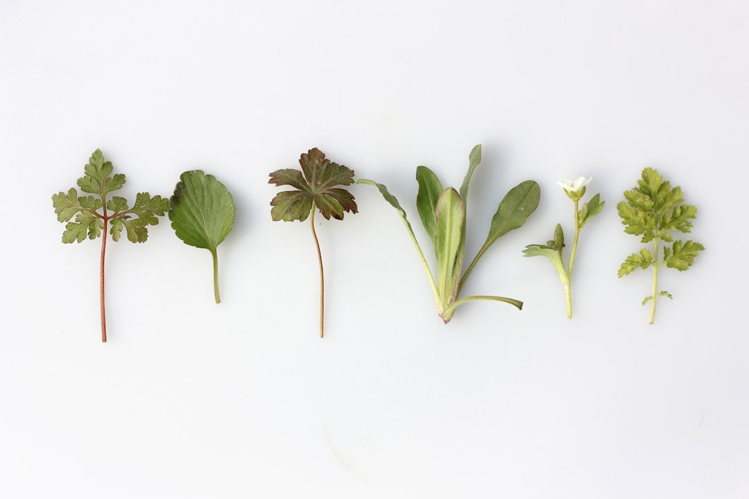 Add Fresh Elements Just Before Serving (image credits: unsplash)