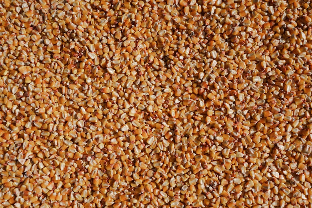 Quinoa: The Ancient Grain with Modern Hair Benefits (image credits: unsplash)