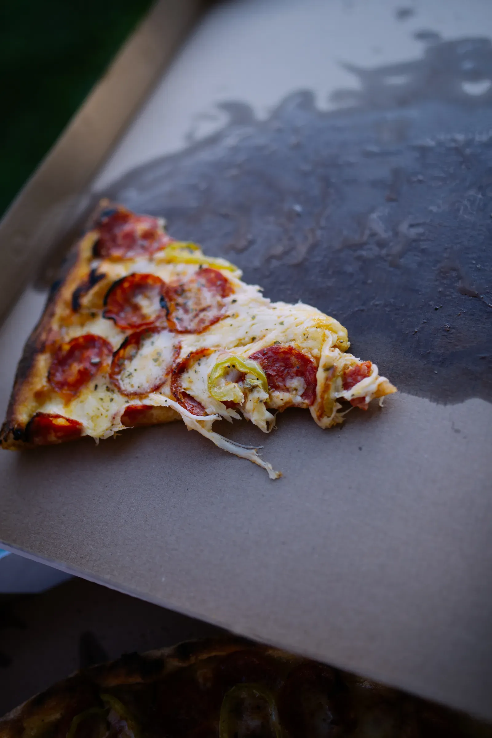 Tony's Pizza Lands at the Bottom (Image Credits: Wikimedia)