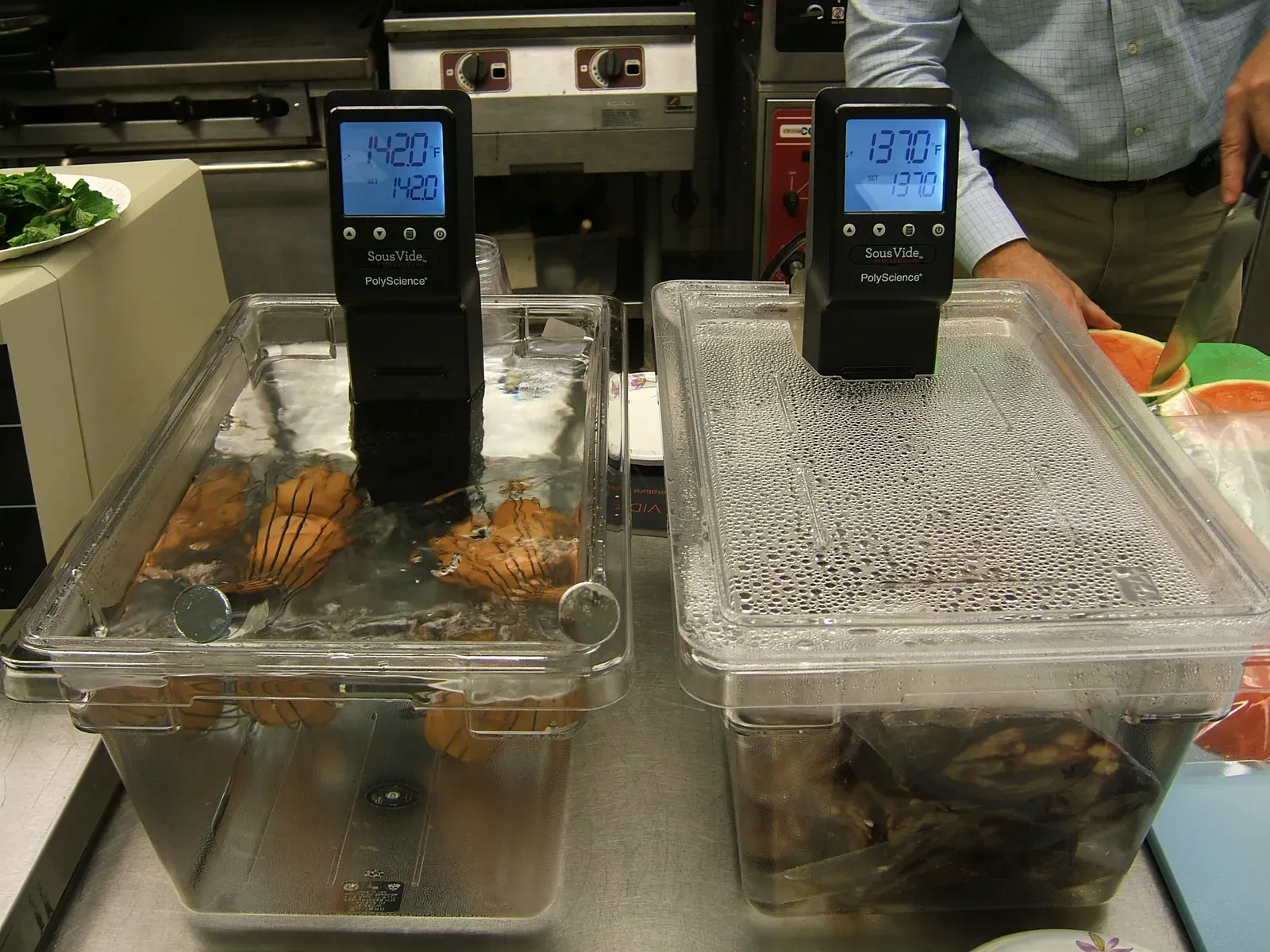 Compact Sous-Vide Precision Cookers (Image Credits: Wikimedia)