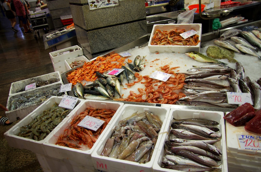 Iceland: The Nordic Island Where Fish is Life (image credits: unsplash)