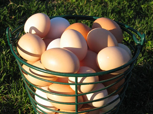 Farm-Fresh Eggs (image credits: flickr)