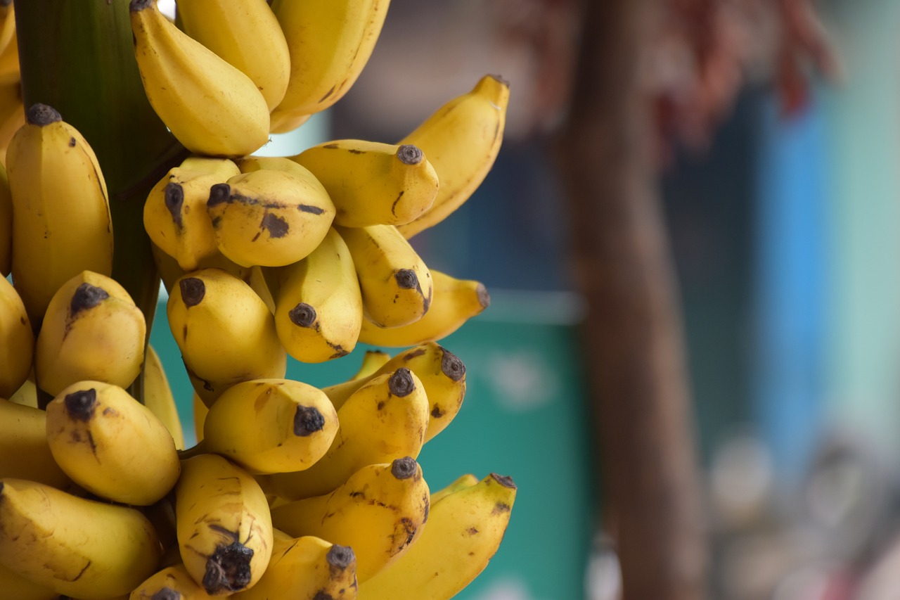 Bananas: The Gentle Gut Soother (image credits: pixabay)