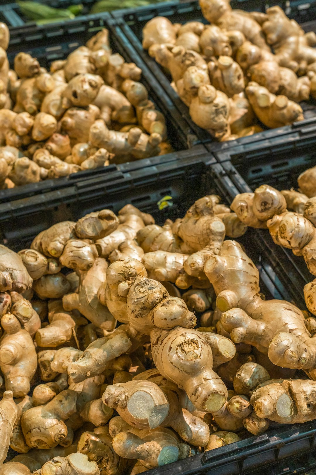 Ginger: The Spicy Shield (image credits: unsplash)