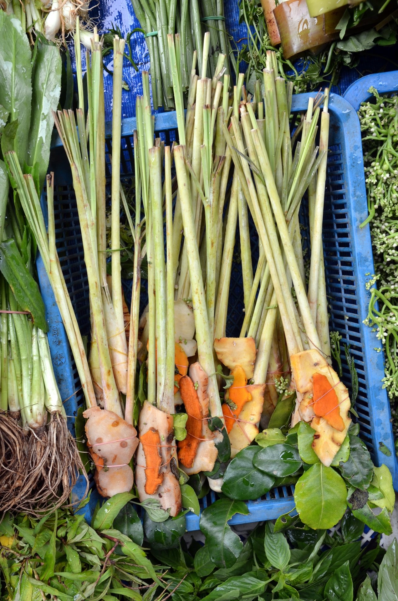 The Global Market for Lemongrass (image credits: wikimedia)