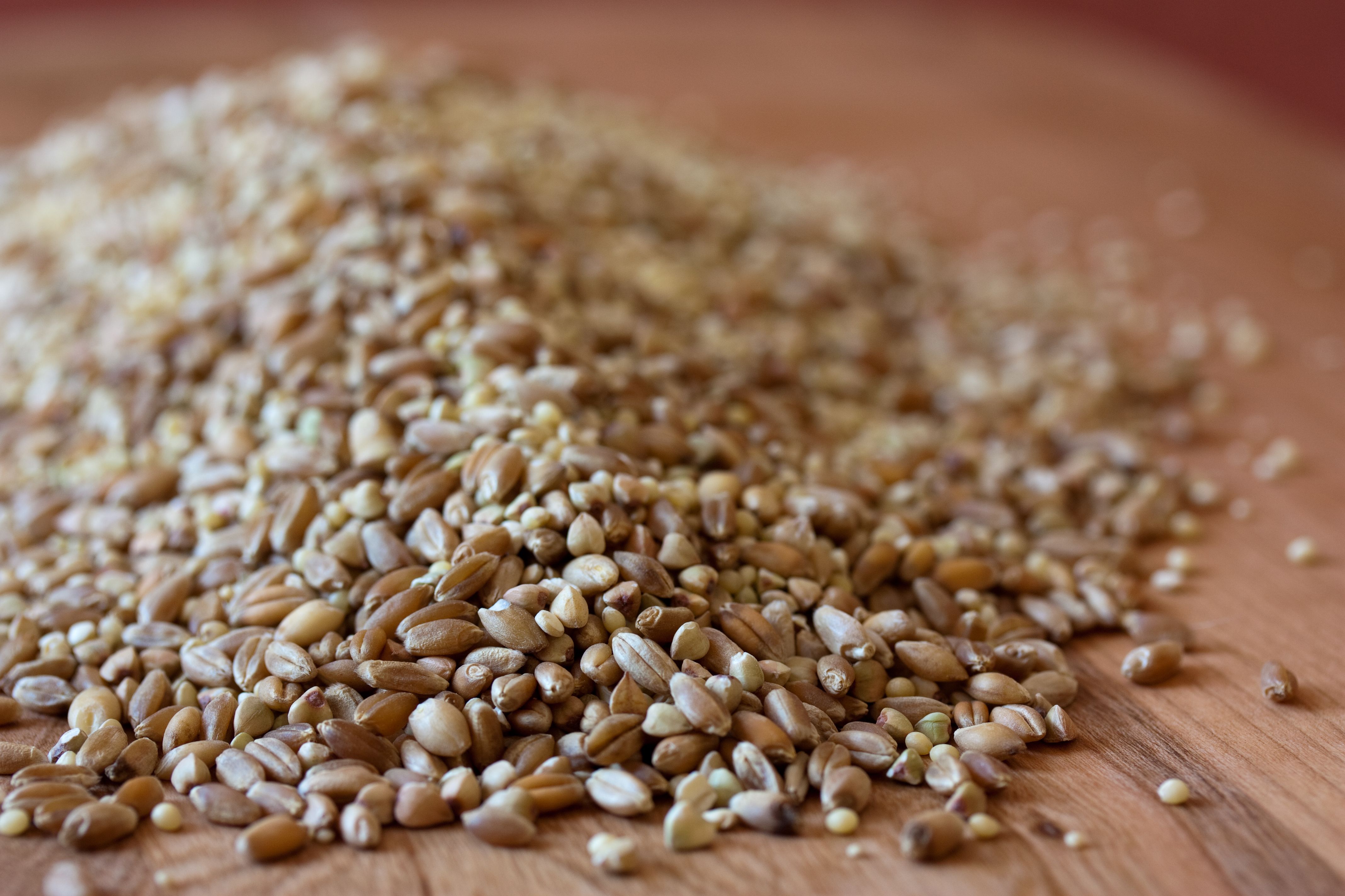 Grain Gains: The Breadbasket Reimagined (image credits: wikimedia)