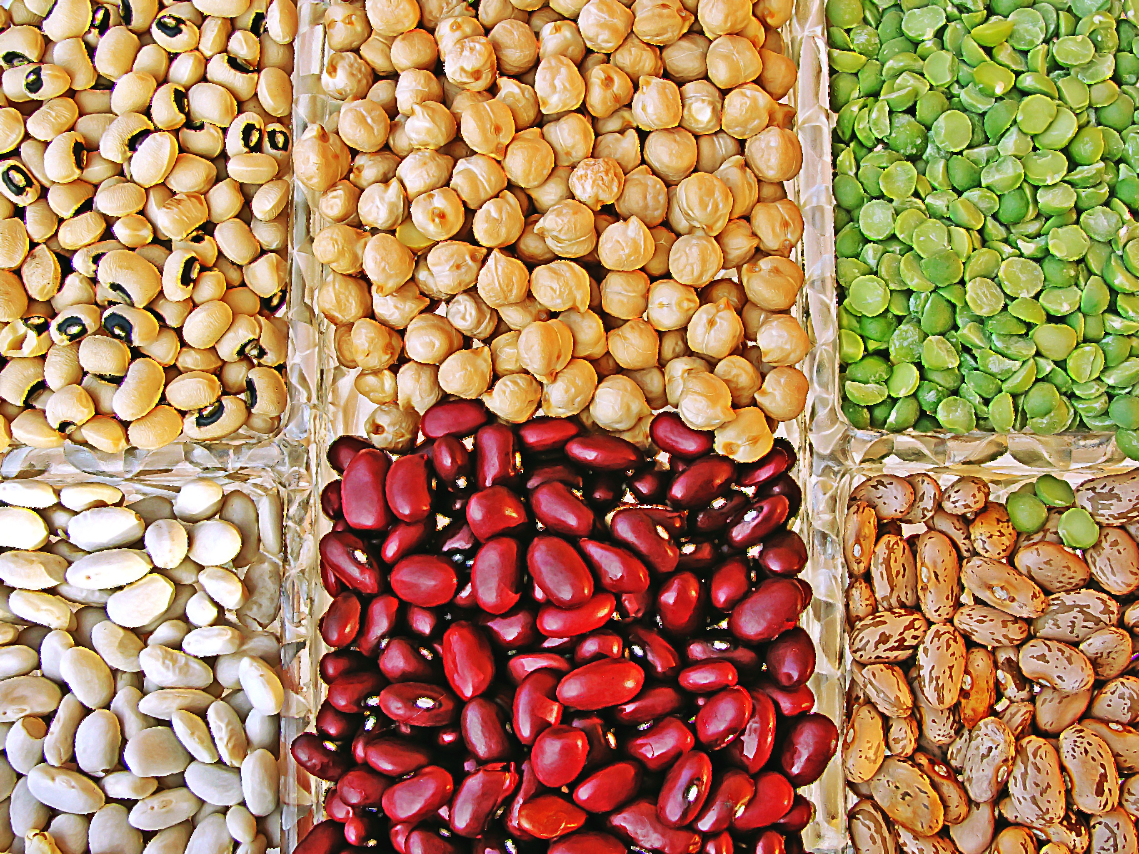 Legumes: Fiber-Filled Friends for Managing Glucose (image credits: wikimedia)
