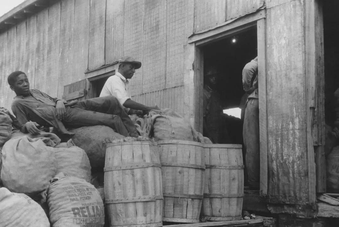 5. Fertilizer Costs Are Baked Into Everything You Eat (Image Credits: Unsplash)