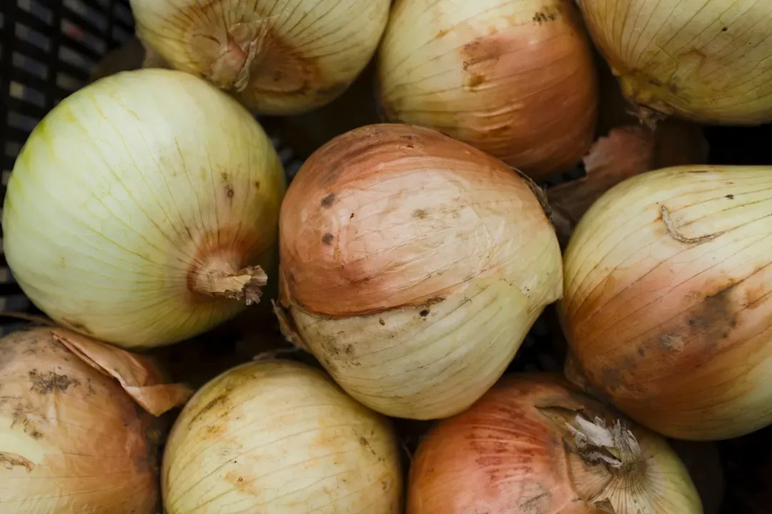 2. Onions - A Major Dietary Fructan Source (Image Credits: Unsplash)