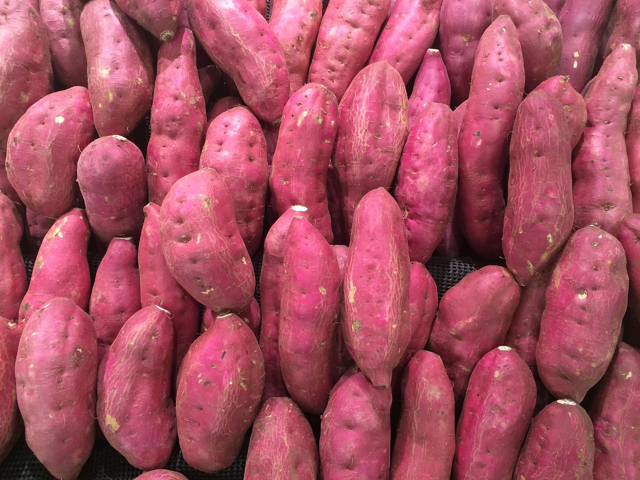 Purple Sweet Potato: Vibrantly Healthy (image credits: pixabay)