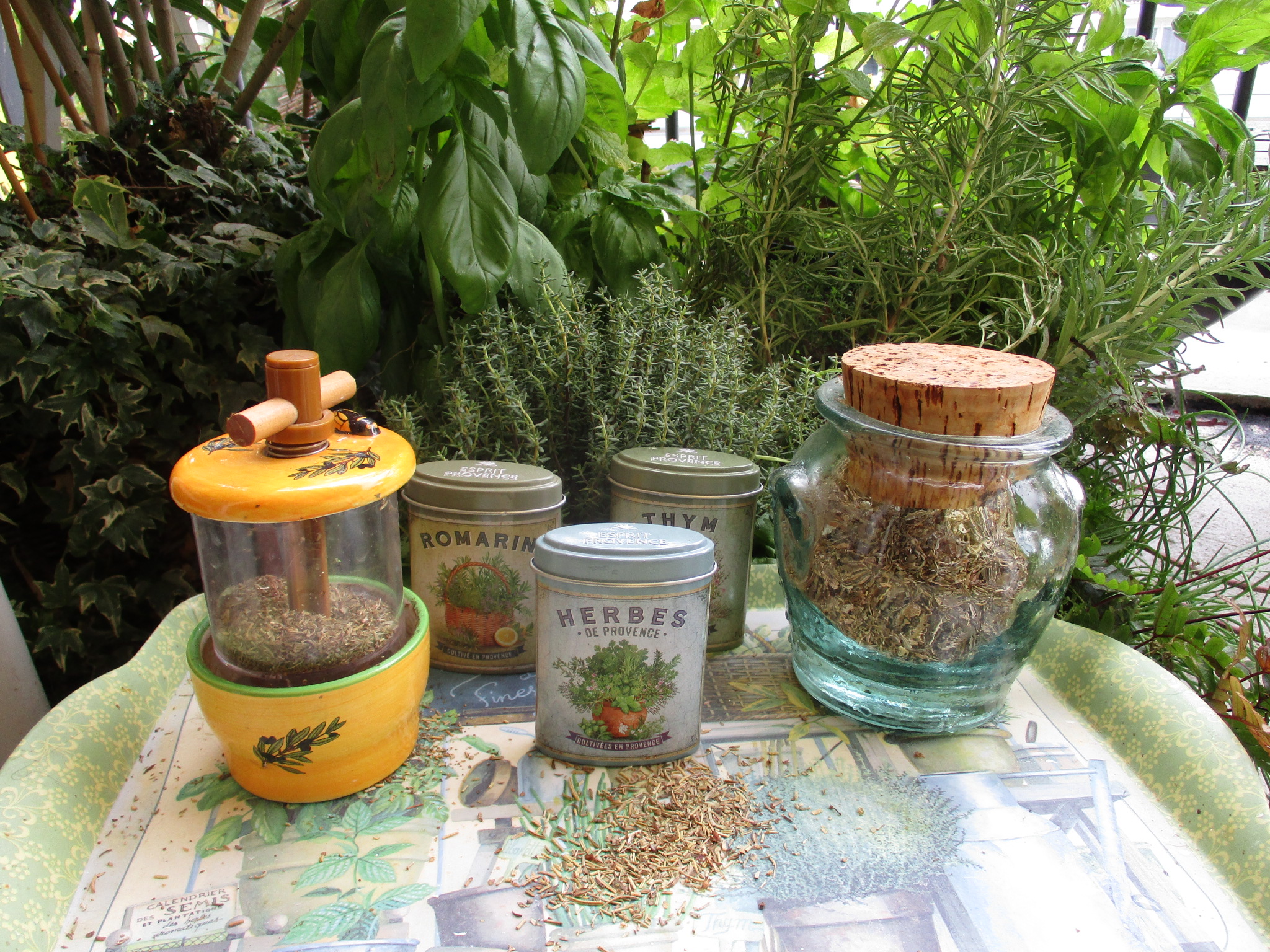 The Pungent Impact of French Herbs de Provence (image credits: wikimedia)