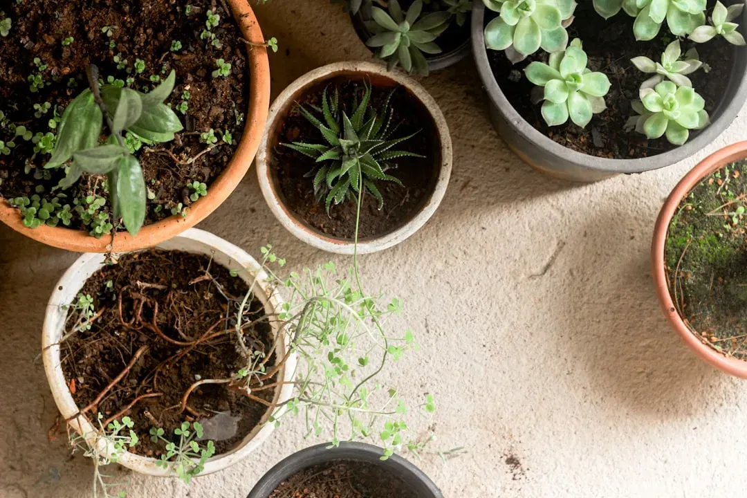 The Regolith Reality: What Mars Soil Can Actually Do (Image Credits: Unsplash)