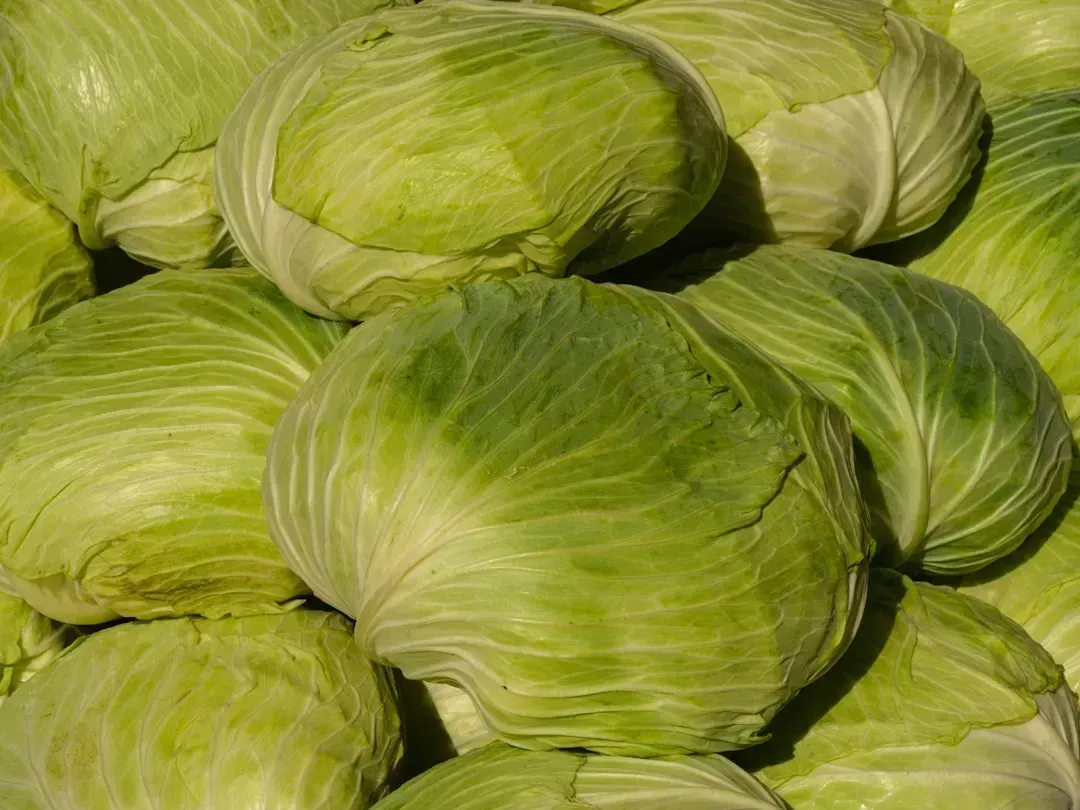 5. Cabbage Stir-Fry - The Vegetable That Costs Almost Nothing (Image Credits: Unsplash)