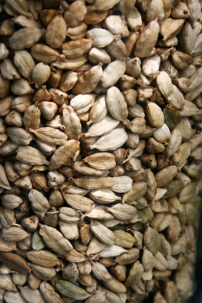 4. Celery Seeds - The Tiny Spice With a Serious Nutritional Secret (quinn.anya, Flickr, CC BY-SA 2.0)