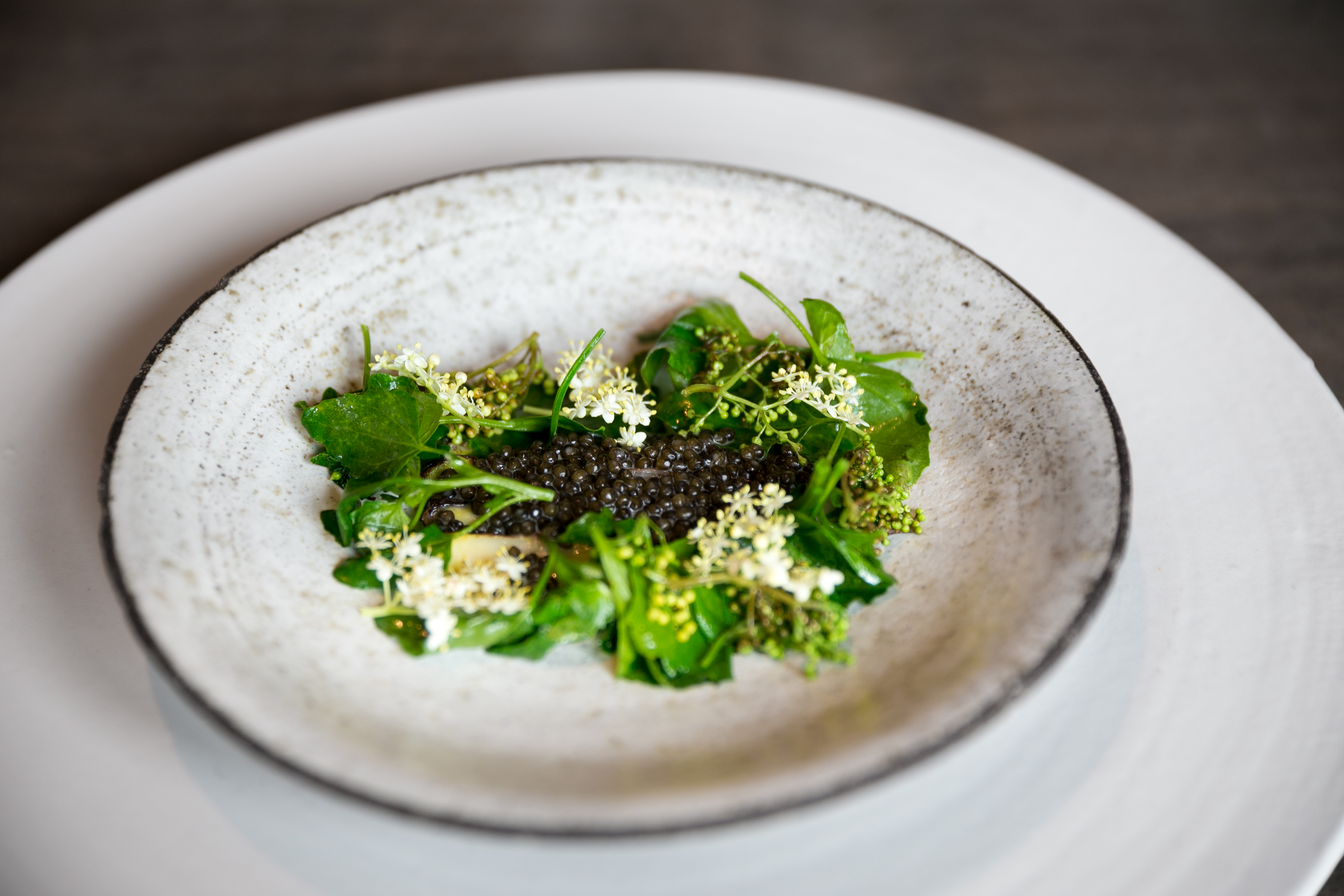 Culinary Applications Beyond Beverages (image credits: wikimedia)
