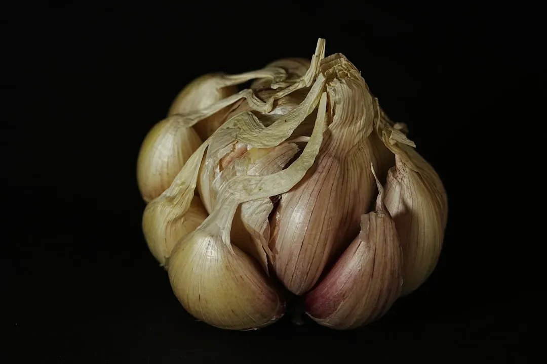 2. Garlic: A Small Bulb With a Big Reputation (Image Credits: Unsplash)