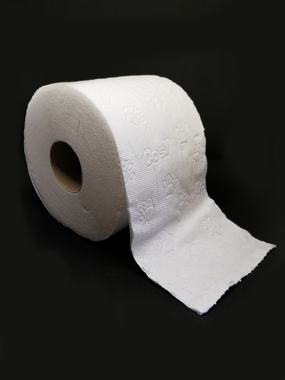 Charmin Toilet Paper: Flushing Away Value (image credits: pixabay)