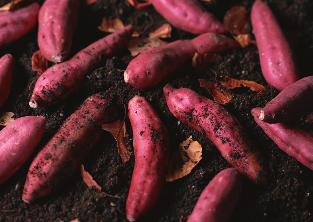 Sweet Potatoes: The Sweet Spot for Health (image credits: rawpixel)