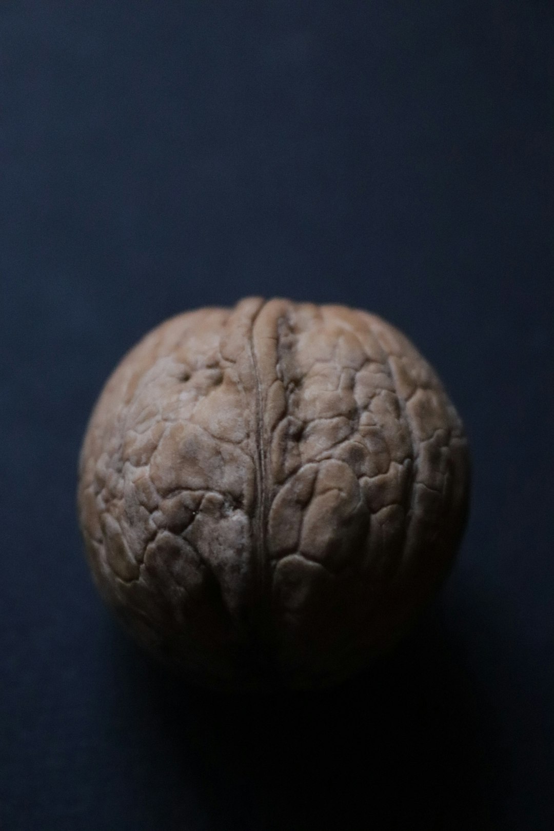 Walnuts: The Brain Nut (image credits: unsplash)