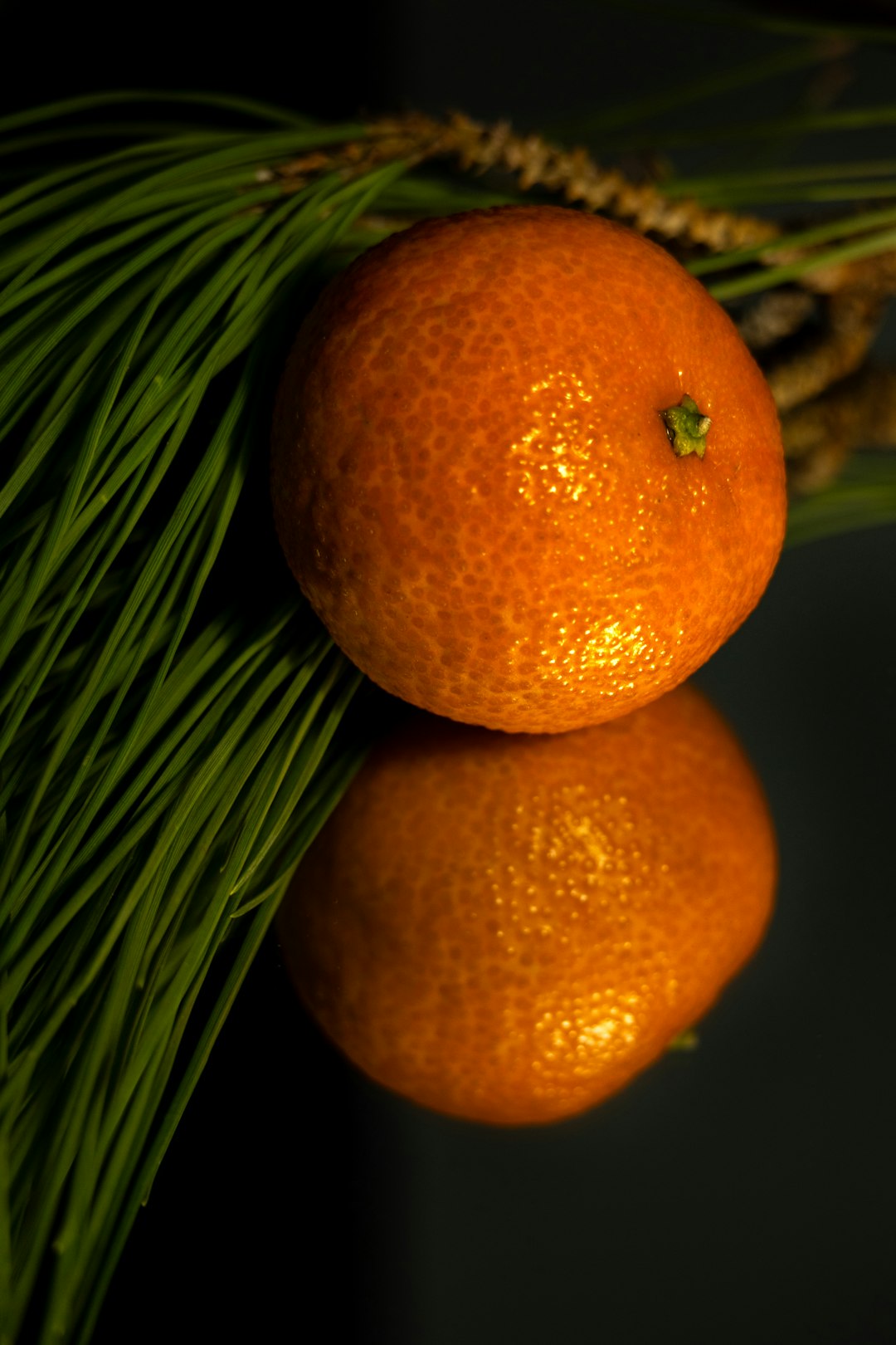 Tangerines & Clementines: Small Fruits, Surprising Sugar (image credits: unsplash)