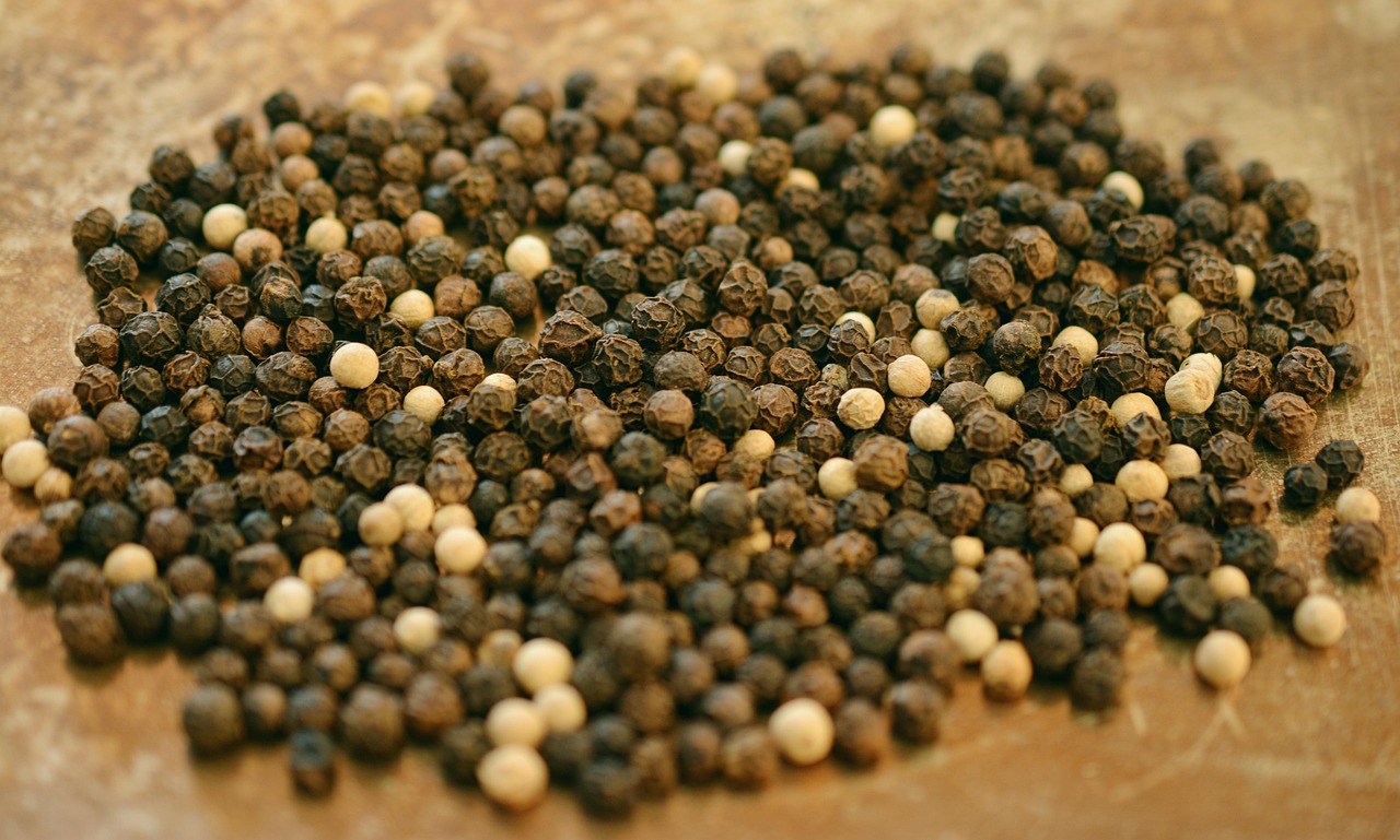 Black Pepper: The Original Currency of Flavor (image credits: pixabay)