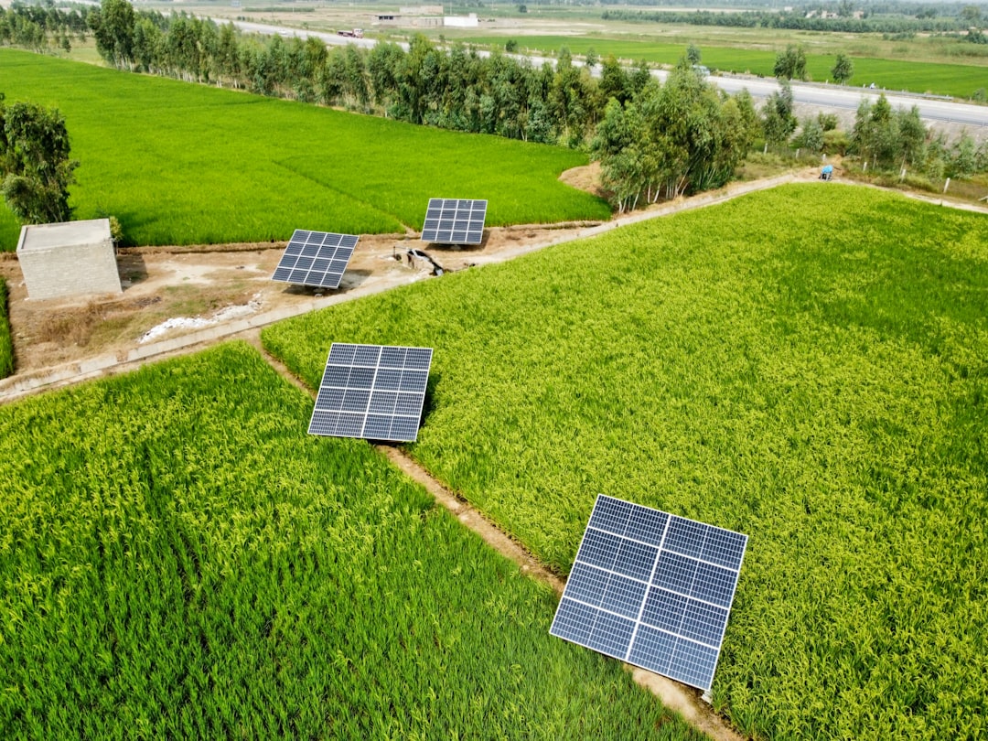 Solar Farms Are Consuming Prime Agricultural Land (image credits: unsplash)