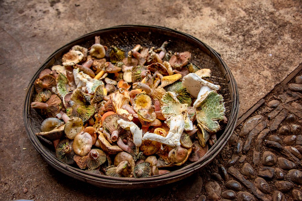 The Future of Wild Food Shopping (image credits: flickr)