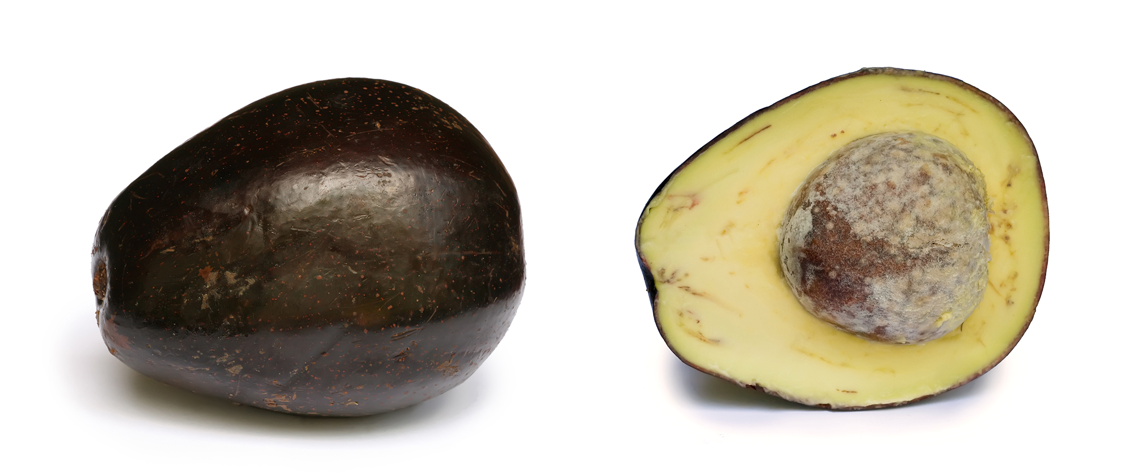 Avocado (image credits: wikimedia)
