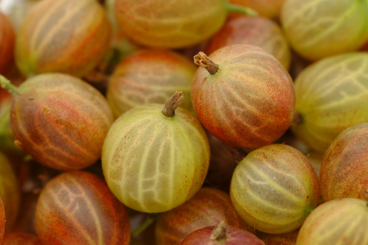 Camu Camu: A Tropical Delight (image credits: pixabay)