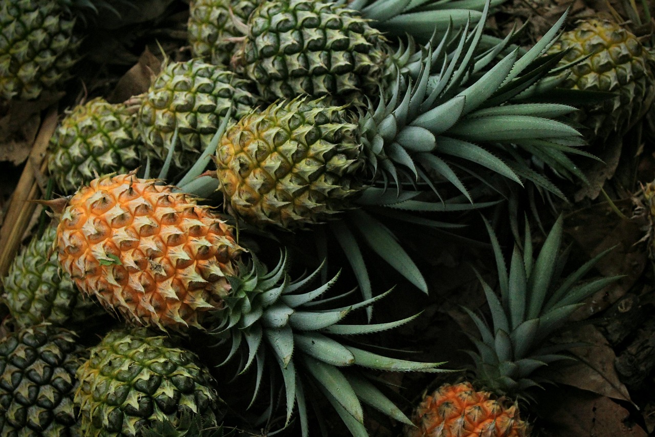 Pineapple: Sweet, Tangy, and Sugary (image credits: pixabay)