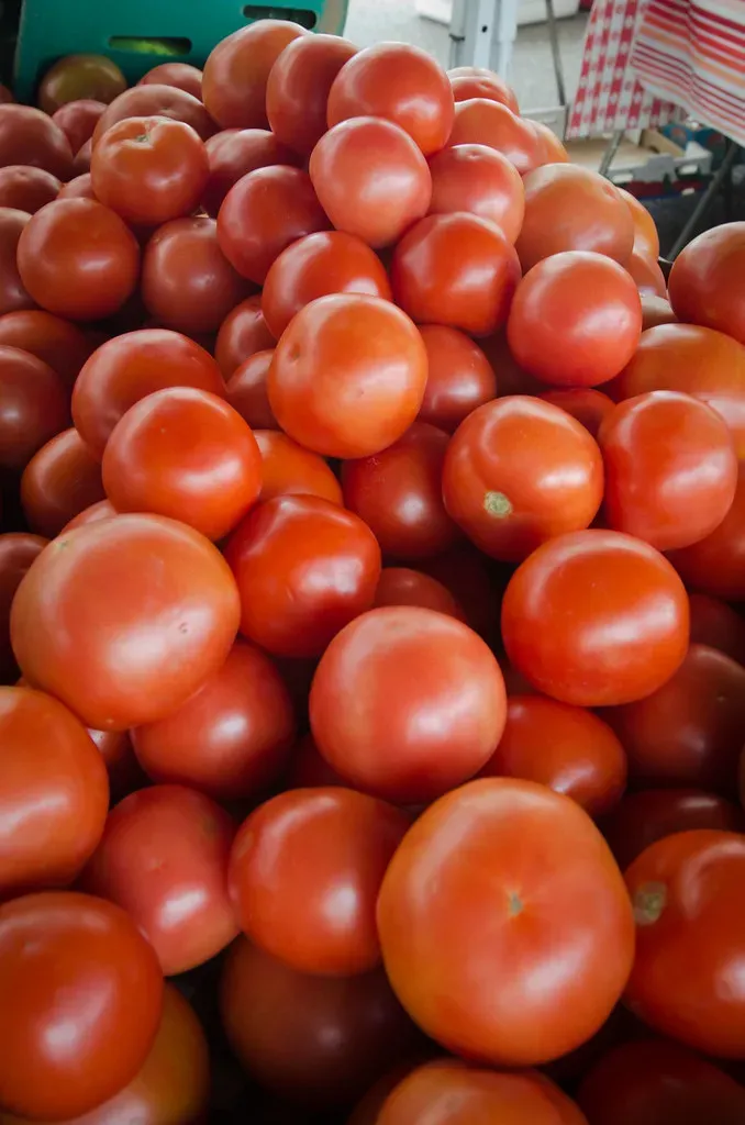 Different Tomato Varieties React Differently to Cold (Image Credits: Flickr)