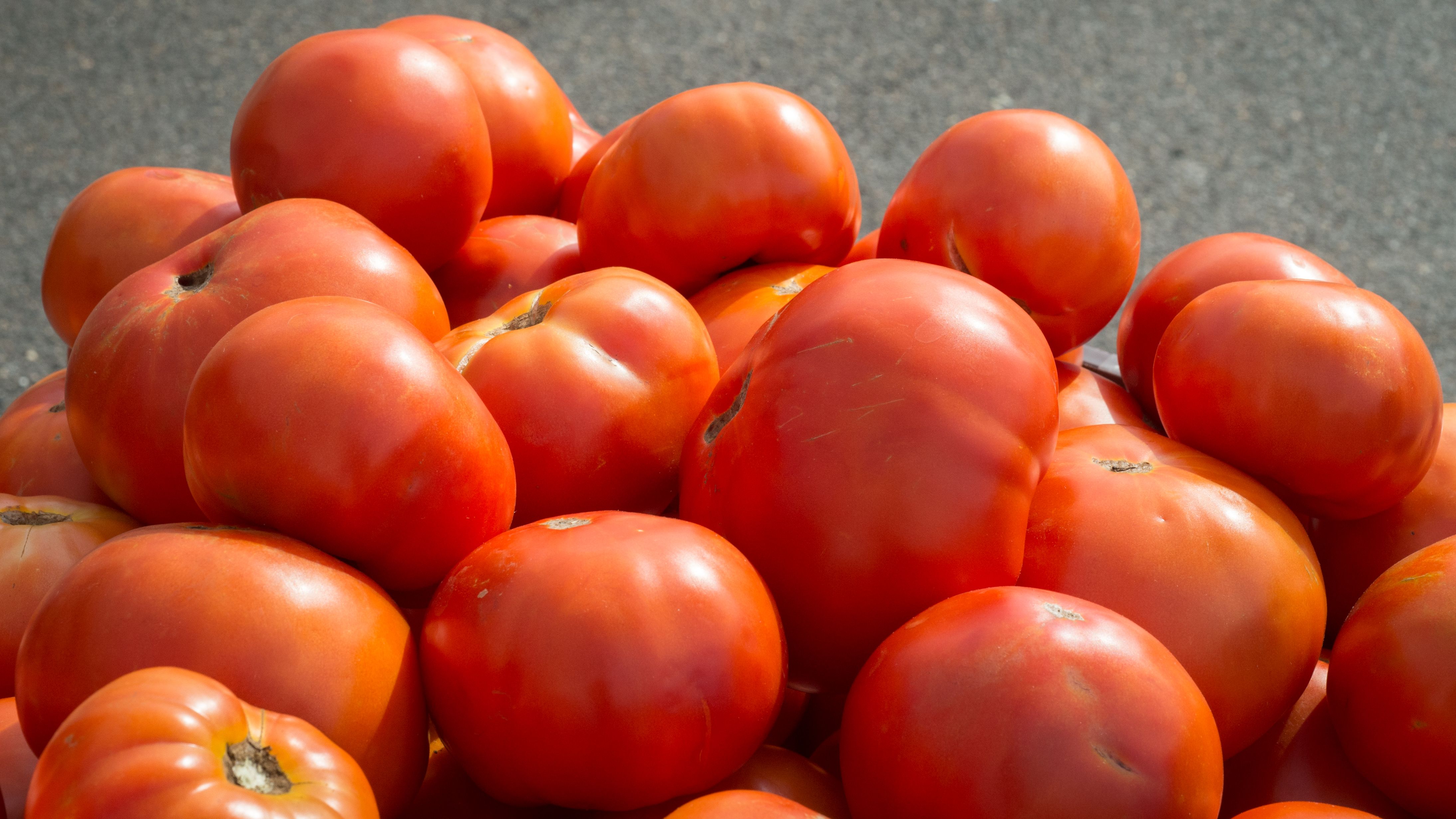 Benefits of Eating Seasonally (image credits: wikimedia)