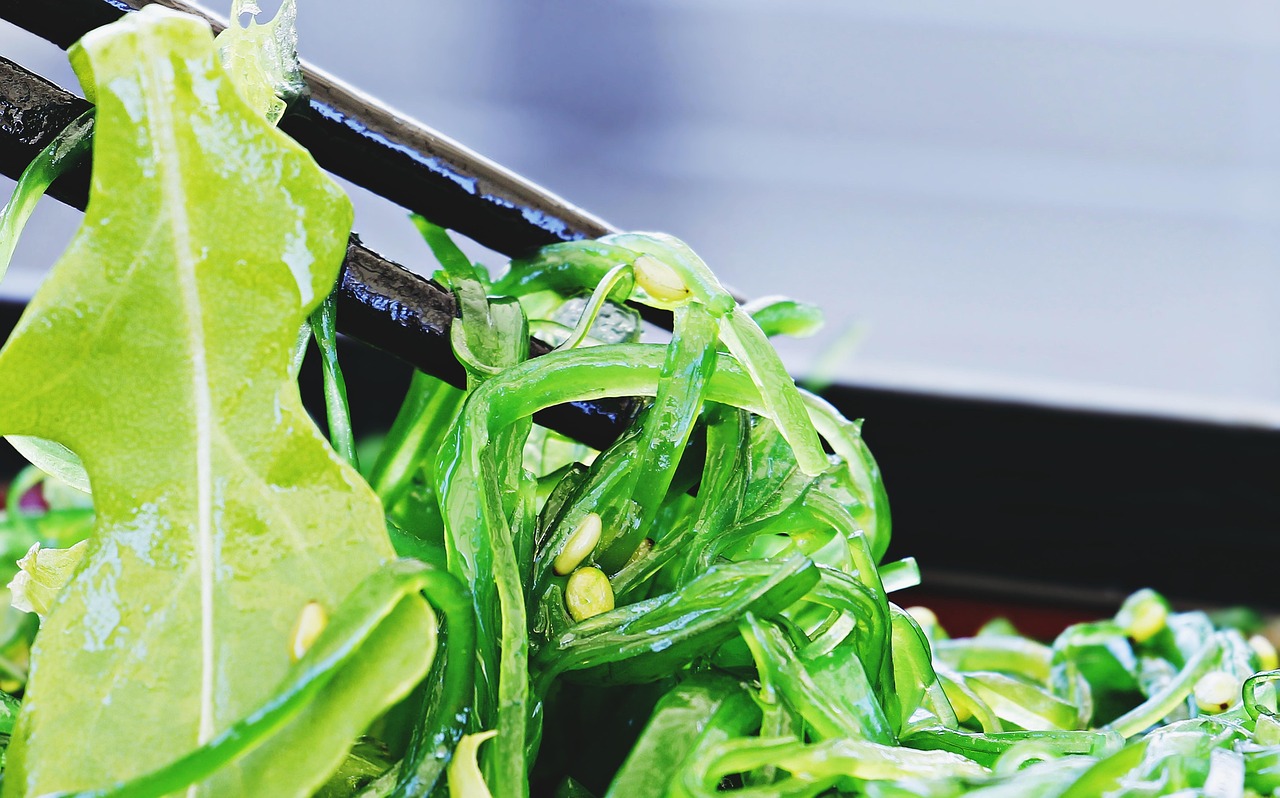 Wakame: The Silky Superstar of Seaweed Salads (image credits: pixabay)