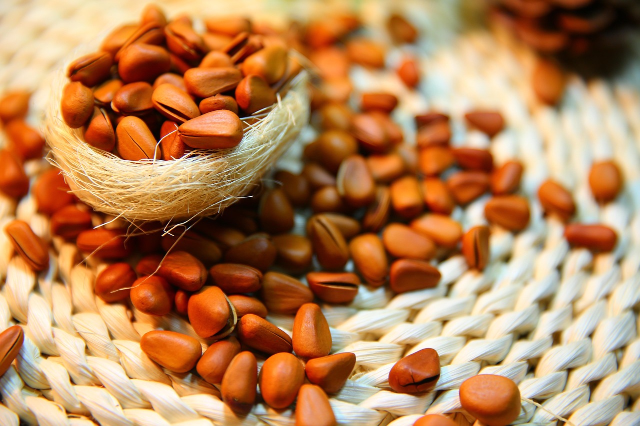 Pine Nuts: The Tiny Powerhouses (image credits: pixabay)