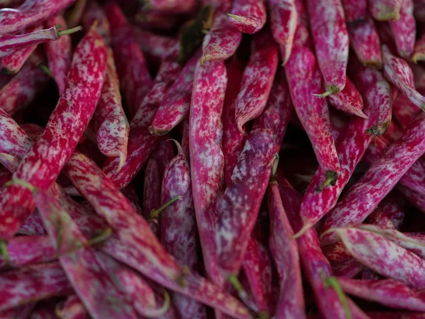 Conclusion (Image Credits: Pexels)