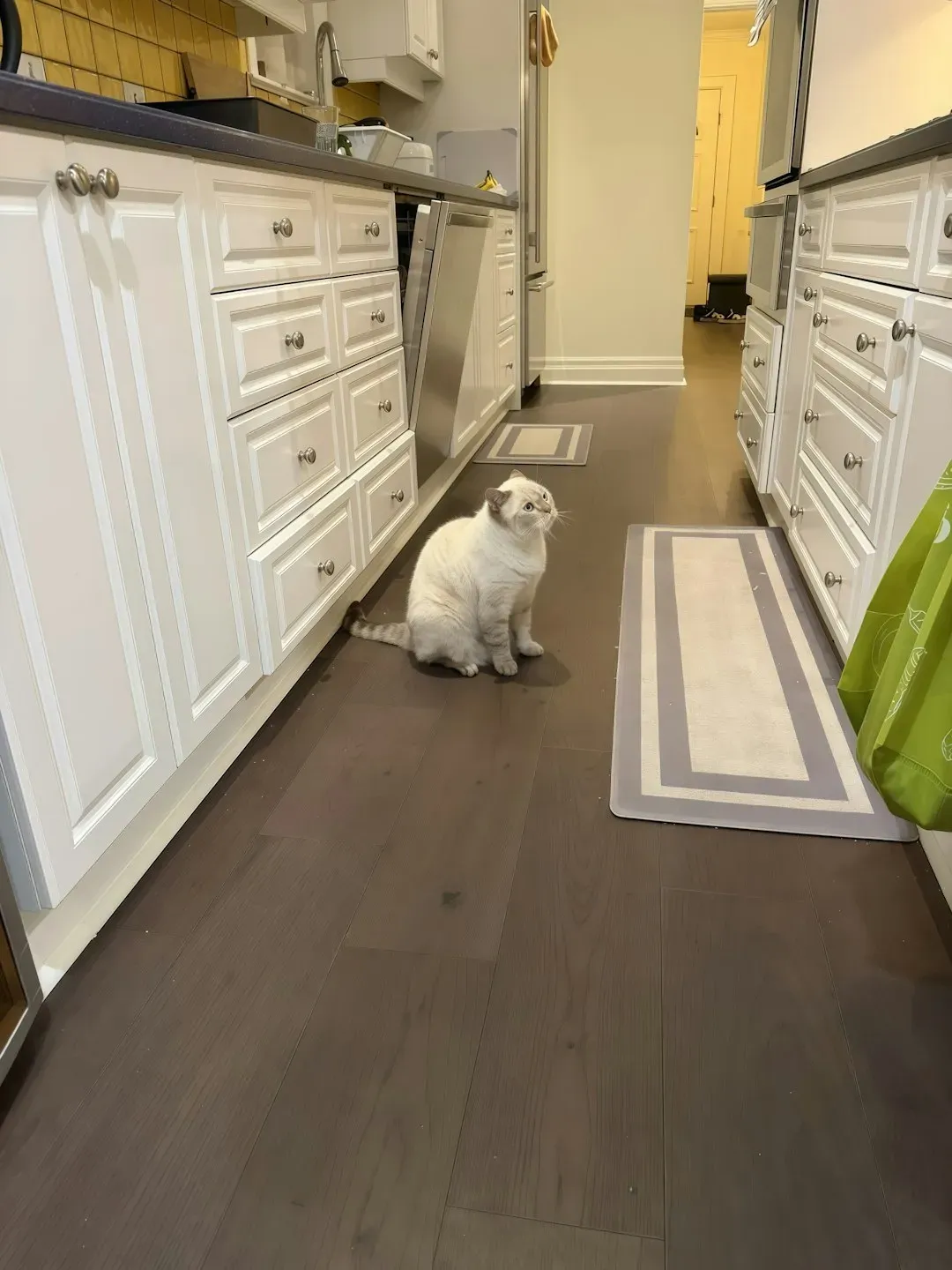 What Shoes and Pets Are Actually Doing to Your Kitchen Floor (Image Credits: Unsplash)