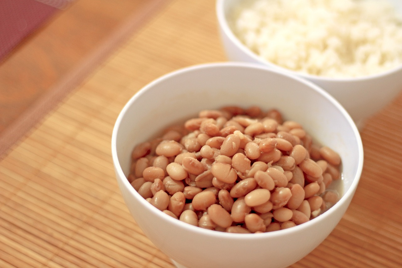 Pinto Beans: The Everyday Staple with Surprising Benefits (image credits: pixabay)