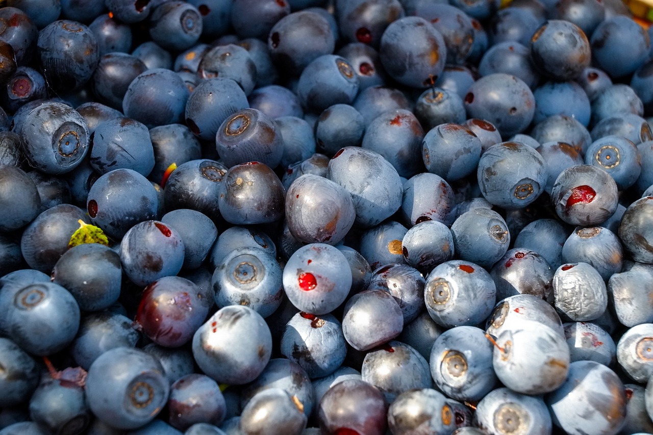 Blueberries: Tiny but Mighty for Your Health (image credits: pixabay)