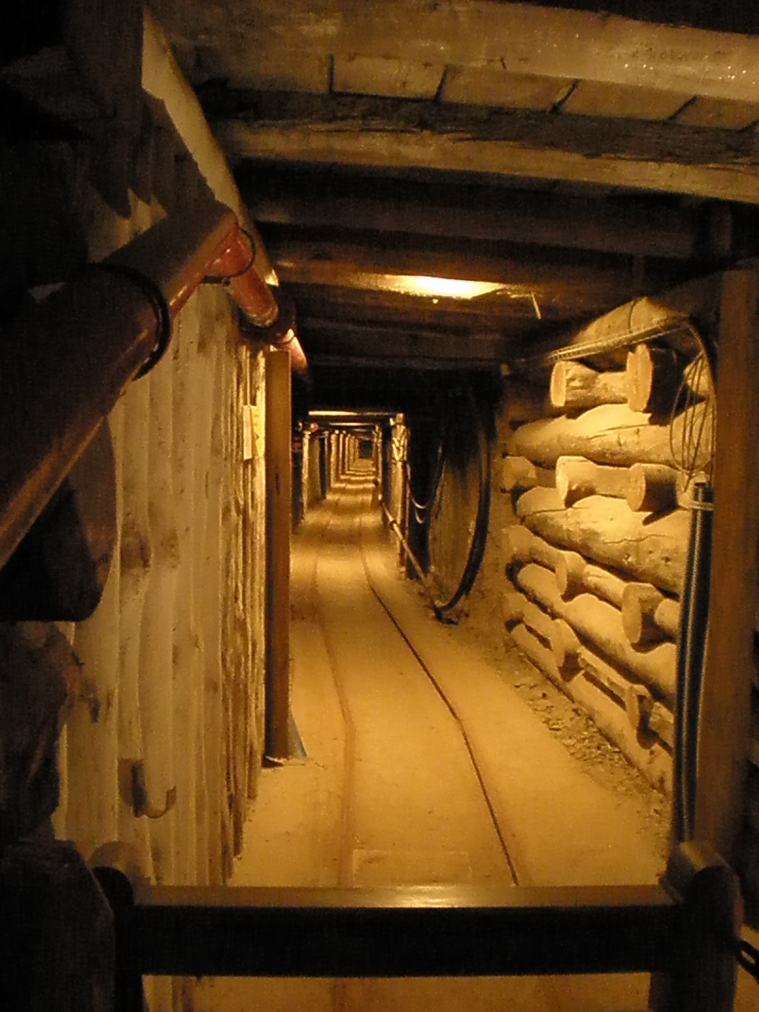 The Salt Mine Cathedral: Poland's Underground Wonder (image credits: wikimedia)