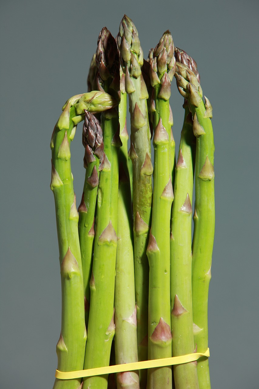 Asparagus: The Green Spear (image credits: pixabay)