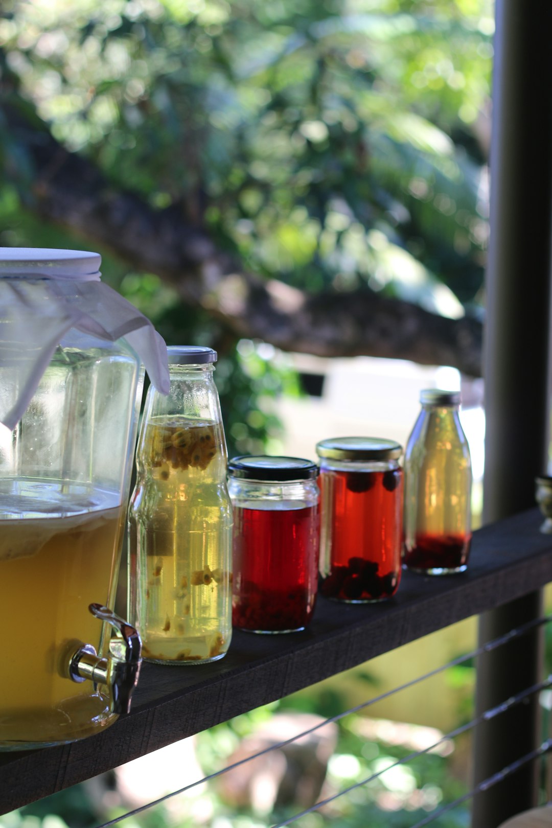Fermentation Follies: Kombucha and Gut Distress (image credits: unsplash)