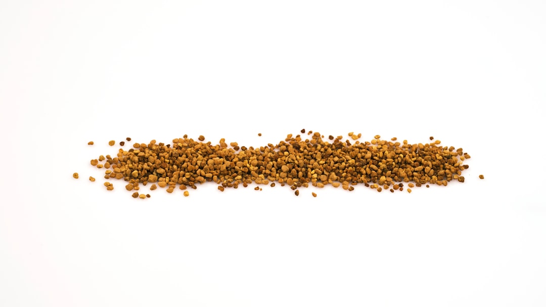 Getting Enough Protein from Plant-Based Sources (image credits: unsplash)