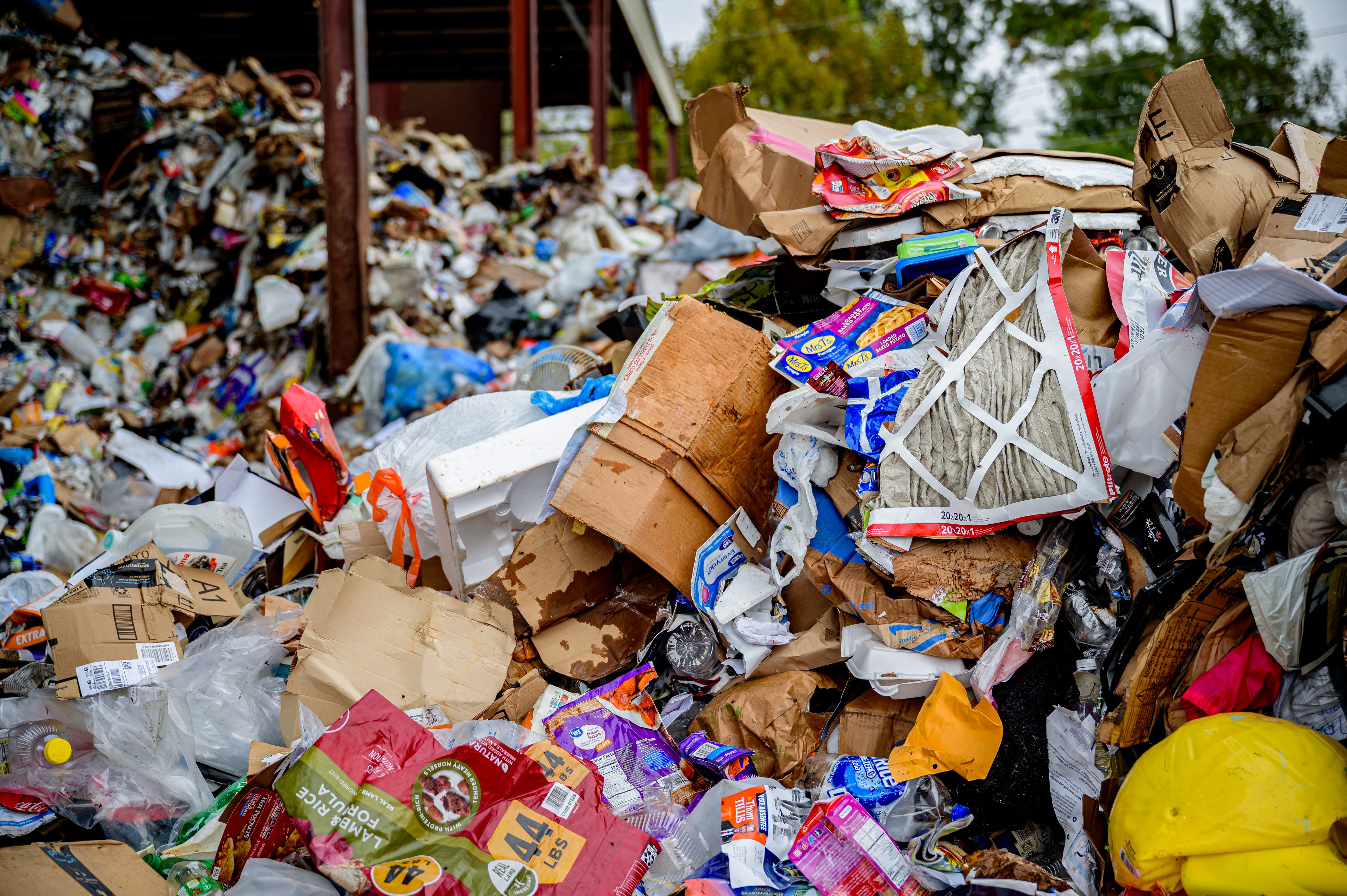 The Contamination Nightmare I Created (image credits: wikimedia)