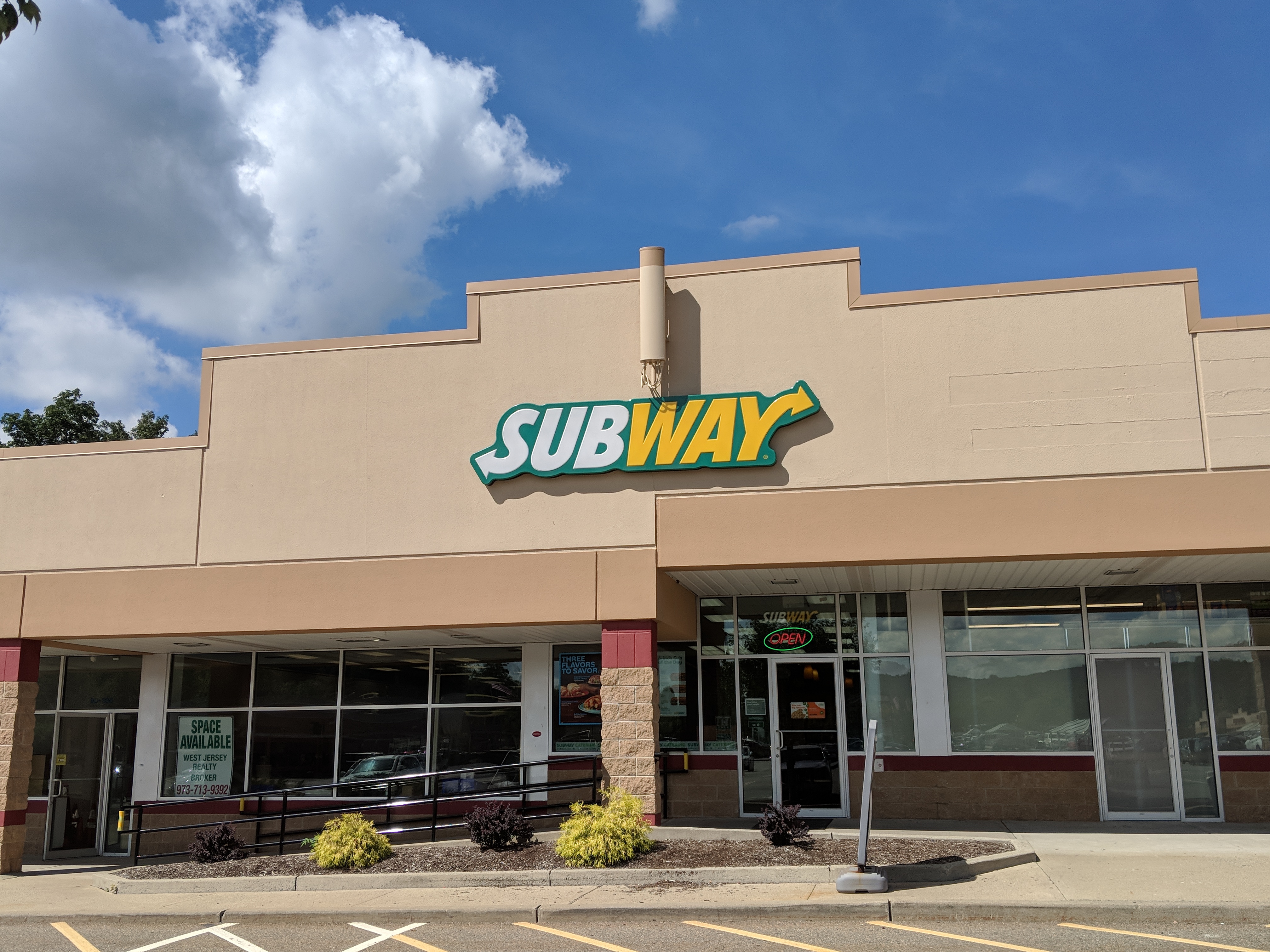 Subway: A Struggling Sandwich Giant (image credits: wikimedia)