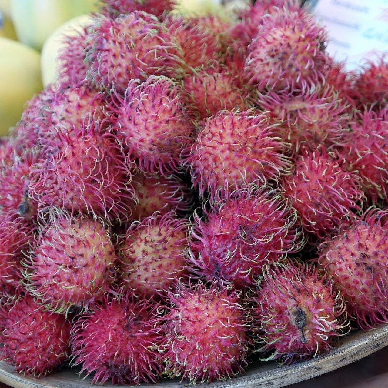 Rambutan - The Hairy Mystery from Southeast Asia (Image Credits: Pixabay)