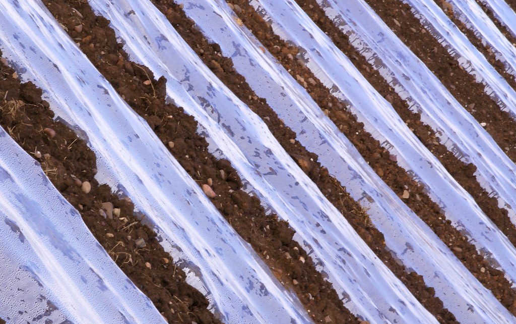Improving Soil Fertility (image credits: flickr)