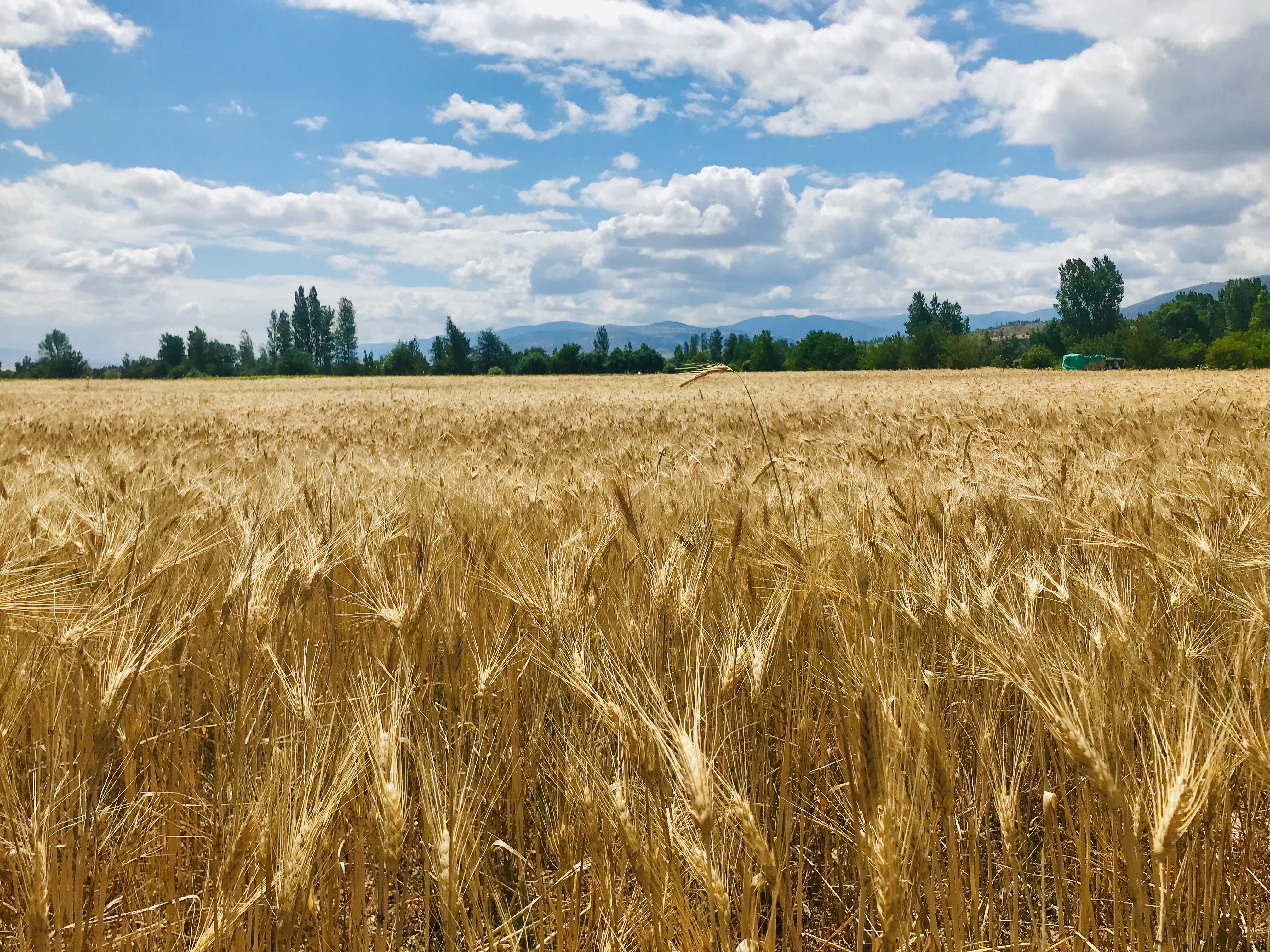 Turkey's Dramatic Spending Reduction (Image Credits: Wikimedia)