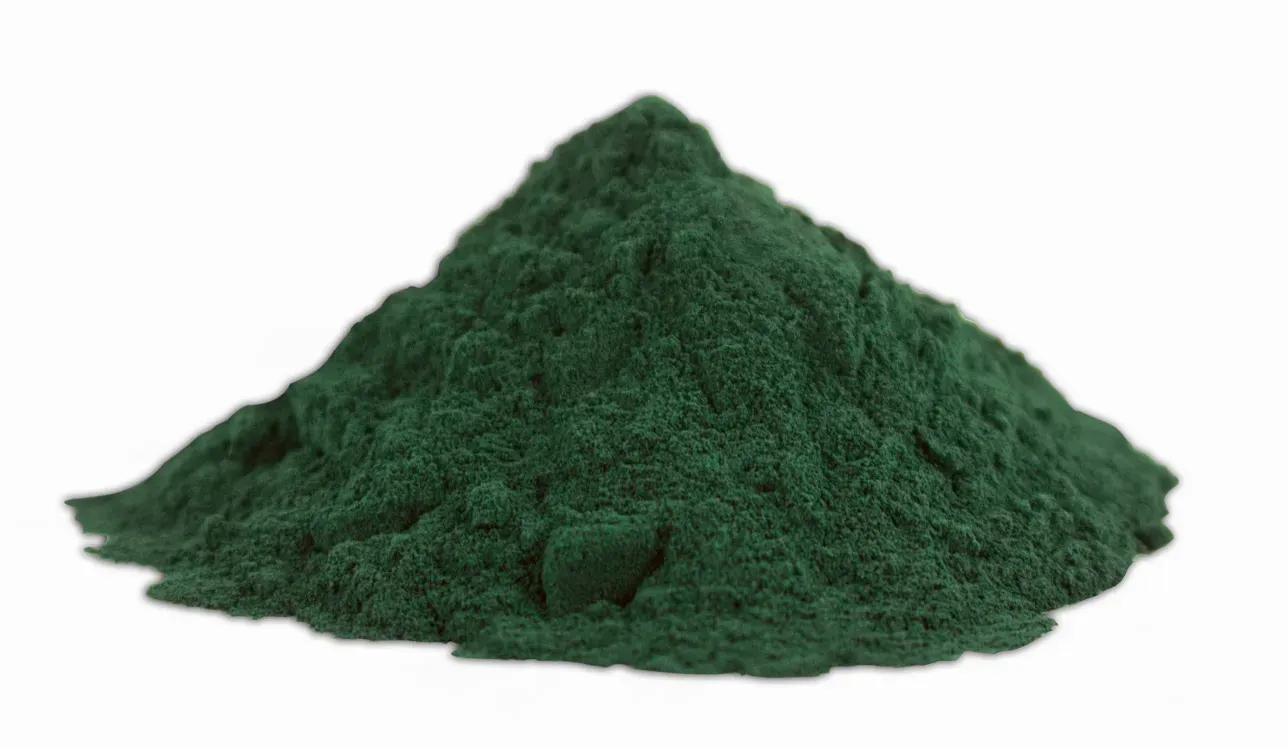 3. Spirulina (Image Credits: Wikimedia)